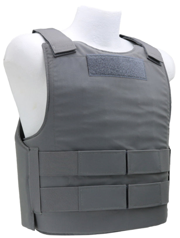 BCS BALCS LBAV – Beez Combat Systems